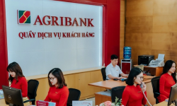 Agribank bán nhà ở phố cổ Hà Nội gần 700 triệu đồng/m2 và nợ thế chấp bằng 19 bất động sản